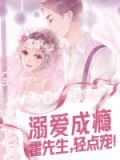 溺爱成瘾:霍先生,轻点宠!