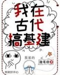 我在古代搞基建