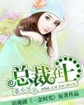 总裁在上我在下