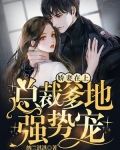 娇妻在上:总裁爹地强势宠!
