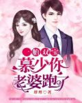 一胎双宝:慕少你老婆跑了