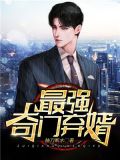 最强奇门弃婿王耀