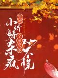 皇城小娇娇杀疯,全家反派心不慌