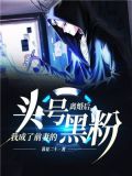 离婚后,我成了前妻的头号黑粉