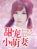 甜宠小萌妻