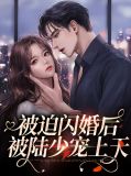赵今安陆执