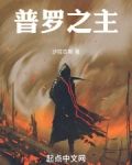 普罗之主在线阅读