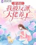 穿书后我被反派大佬养了