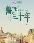 鲁西三十年
