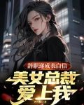 辞职递成表白信,美女总裁爱上我