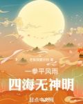 一拳平风雨四海无神明免费阅读