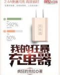我的狂暴充电器