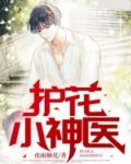 护花小神医txt全本