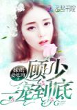 顾少,一宠到底