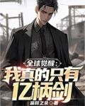 全球觉醒:我真的只有亿柄剑