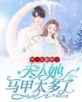 爷,认输吧!夫人她马甲太多了
