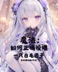 魔法:如何正确投喂一只白毛团子