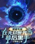 穿越斗龙:在无尽世界当幕后黑手