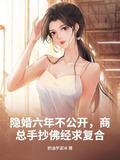 隐婚六年不公开,商总手抄佛经求复合 TXT