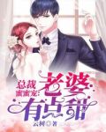 总裁蜜蜜宠:老婆有点甜