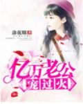亿万老公宠过火
