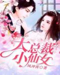 大总裁,小仙女