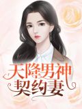 天降男神契约妻唐慕橙厉南衍