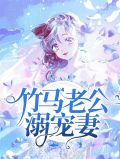 竹马老公溺宠妻顾念