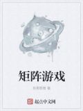 矩阵游戏